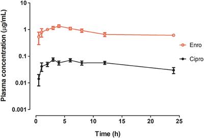 Pharmacokinetics, Pharmacodynamic Efficacy Prediction Indexes and Monte Carlo Simulations of Enrofloxacin Hydrochloride Against Bacterial Strains That Induce Common Clinical Diseases in Broiler Chickens